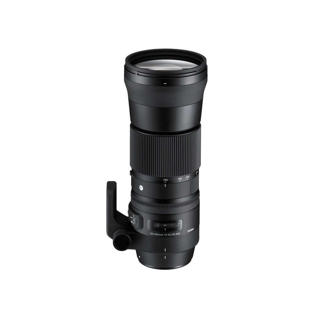 Kiralık Sigma 150-600 Lens | Kiralık Kameracım