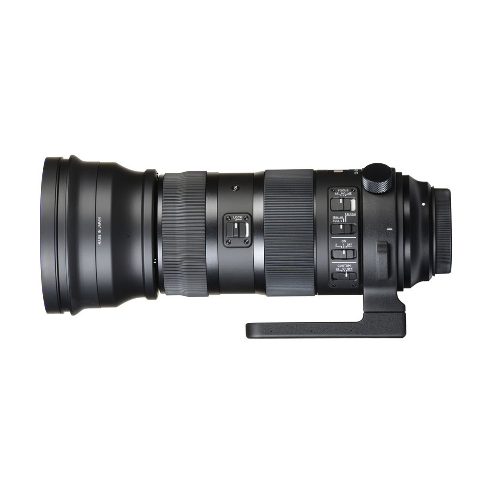 Kiralık Sigma 150-600 Lens | Kiralık Kameracım