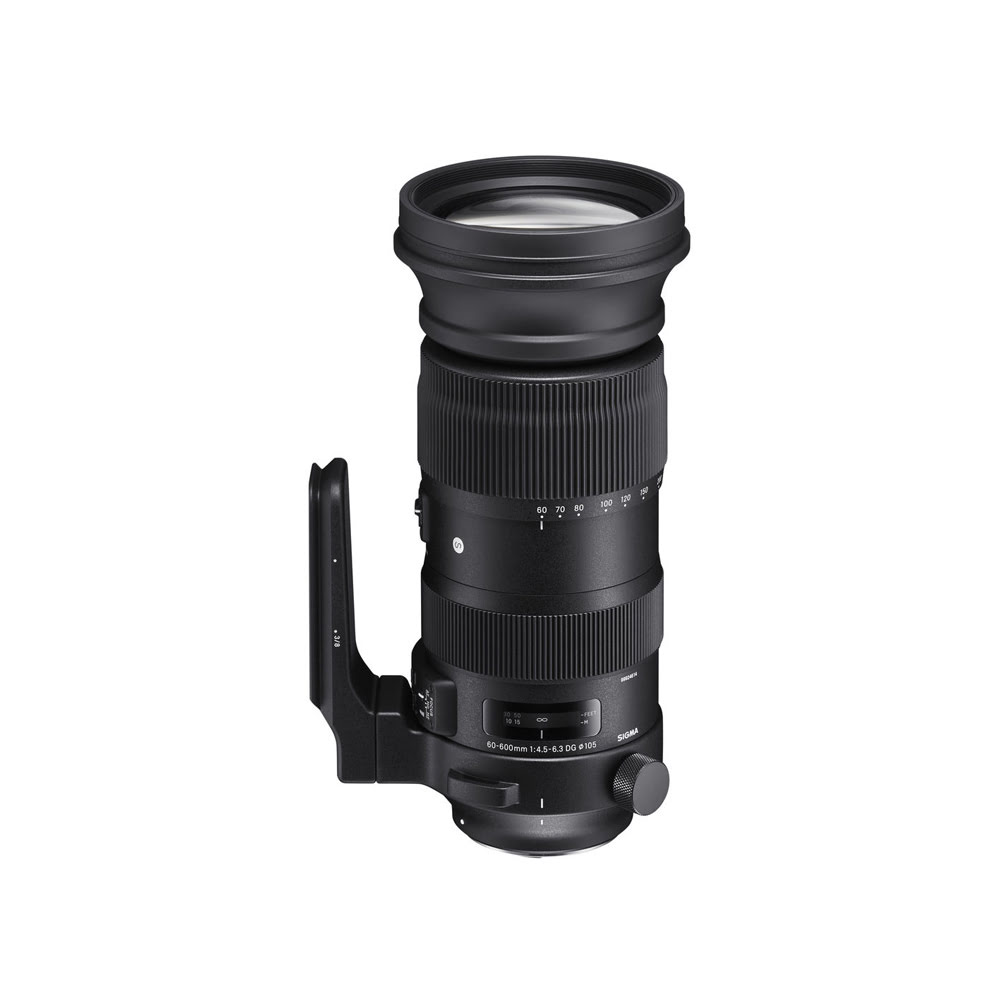 Kiralık Sigma 60-600mm f/4.5-6.3 Lens | Kiralık Kameracım