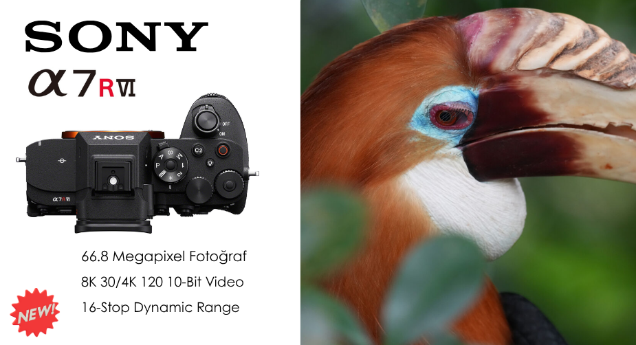 Sony A7R VI